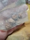 The Rose Rock Specimens  Timberlake Rose Rock Museum Noble Oklahoma