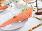 Koffota Peach Cloth Napkins Set Of 6 100  Cotton 18x18 Salmon