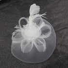 Tea Party Fascinator Headwear W  Veil Flower Cocktail Church Kentucky Derby Hat