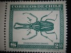 Correos De Chile Fauna 1948  2 60 A118 Scott  255 W tab Green Single Mlh Rare 