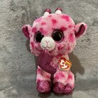 Lot Of 8 Ty Beanie Boos 9    6    Unicorn Dragon Dolphin Cats Mini Glitter Eyes