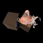 Rare Collectible The Beverly Hills Hotel   Bungalows Pink Green Rubber Ducky