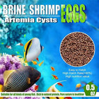 Brine Shrimp Eggs For Aquatic Foods Baby   Fry Foods The Popular 90  Hatch Gsl B