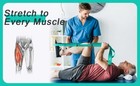 Yoga Strap Stretching Strap With Exercise Book Physical Equipment    