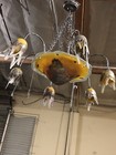 Signed Art Nouveau Style Hand Crafted Glass Chandelier Silvered Painted  2 