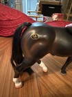 Vtg Empire Grand Champion Toy Horse  Dark Brown Plastic 1996 - 6 5 h