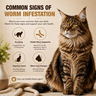 Cat Dewormer For Cats   Kittens  Broad Spectrum For Tapeworms  Roundworms   Hook