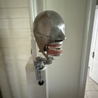 Columbia Dentoform Dental Phantom Skull Teeth Model Anatomical Display - Vintage
