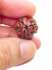 3 Mukhi Rudraksh Original Nepali Bead Energised Three Face Rudraksha Natural