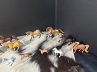 Lot Of 20 Breyer Stablemates Collectible Horses Some Custom Painted  Duplicates