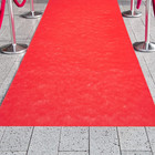 Red Carpet Runner For Party  50 Ft Runway Aisle For Weddings  Banquets  Prom Nig