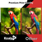 Koala Inkjet Transparency Film Clear 8 5x11 20 Sheet Overhead Projector Crafts 