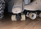 Chaya Roller Skates Read Description