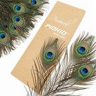 200 Pcs Peacock Feathers In Bulk 1012 Inch2530 Cm Bulk For Diy Craft  Craft V   