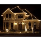 Abi 100-count Led Christmas Light Outdoor   Indoor Decoration  warm White 