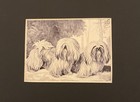 Lhasa Apso Matted   Framed   Ready To Gift - 1986 Vintage Dog Art Print