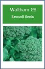 Broccoli Seeds    Non-gmo Broccoli Seeds   Fresh Heirloom Garden Seeds