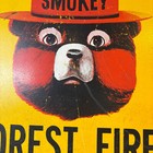 1960 s Smokey The Bear Fiberglass Sign Prevent Forest Fires 24  X 18 