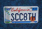 2019 California Sunshine   Palm Trees License Plate