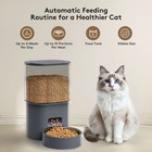 Automatic Cat Feeder  3l Timed Dispenser With Programmable Portion Control