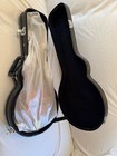 Danville F-style Mandolin - Antique Gloss - Hard Shell Case New Make Offer 