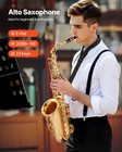 Vevor Gold Brass Alto Saxophone Eb E Flat Sax Beginner Kit With Case Mouthpiece