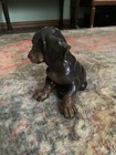 Rosenthal Vintage Dachshund Dog Figurine Collectible