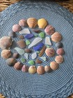 Genuine Surf-tumbled Sea Glass And Sea Shells Beautiful Obx Beach Lot        