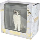 Sandicast Small Size Bicolor Ragdoll Cat Sculpture  White gray