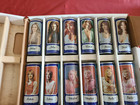Tennent s Beer Cans 20 Lager Girls 1977-82 Complete Set Sally Lee Sylvia Erica