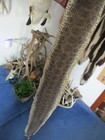 Rattlesnake Skin Prairie Rattle Snake Hide Dry Tanned Wrap Pen Blanks 43 In  G3