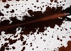 Genuine Brown White Cowhide Rug Real Cow Skin Hair On Hide Carpet 140x142cm 36