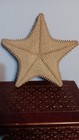 Large Genuine Starfish Dried Ocean Fish Decor Nautical Beach  11 