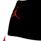 Air Jordan 11 Shoe Michael Jordan Chicago Bulls Sports Print Art 17x11