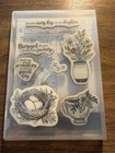 Stampin  Up  Cling Stamp Set   Dies Retired Bundle - Everyday Details