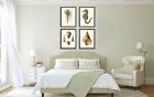Seashell Sea Horse Wall Art Print Sett Of 4 Vintage Ocean Life Unframed