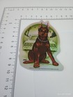 Vintage Hood Hounds Doberman Dog Vending Machine Sticker Prism