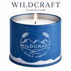 Citronella Candles 100  Soy Wax Natural Outdoor Indoor Scented Candle 2-pack New