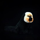 White-faced Saki Monkey 9 Inch Stuffed Animal Plush Toy Toddler Doll Kids Gifts