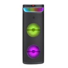 Portable Bluetooth Party Speaker Dual 10  Woofer Heavy Bass Sound System W  Mic