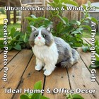 Realistic British Shorthair Cat Blue And White Plush Kitty          Lifelike Stuffed