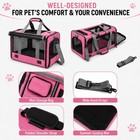 Foldable Cat And Dog Pet Air Travel Bag