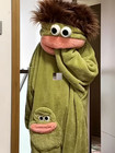 Funny Soft Green Cozy Lounge Costume For Parties Pajama Nights Funny Photos