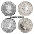 1 3 Oz Platinum Coin  random Design 