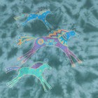 Vtg 90s Tribal Horse Art Native American Tie Dye Single Stitch T-shirt Xl