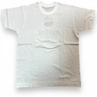 00s Y2k Vintage Apple T-shirt Rainbow Logo Applelink Deadstock Apple It Company
