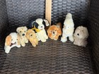 Lot 7 Vtg Some Steiff Mohair   Plush Dogs Dalmatian  Spaniels Poodle 4-6    Cute 