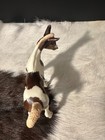 Breyer Traditional 1297 Takoda Chestnut Tobiano Amber Foal Retired 2009 So Cute