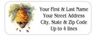 150 Beautiful Beehive Bee Hive Honey Lovers  Return Address Labels Personalized