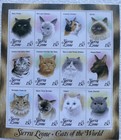 1993 Sierra Leone Cats Of The World Stamps 2 Sheets Of 12 - 24 Stamps Total  Mnh